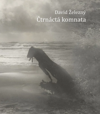 David Železný