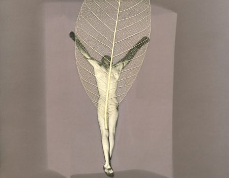 Muž-s-listem_Man-with-Leaf,2002,56x68,-tif