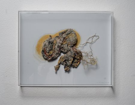 TADY A NIKDE, ASAMBLÁŽ, 2017
