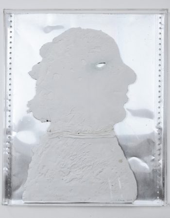 Z CYKLU TVÁŘE A FRAGMENTY, ASAMBLÁŽ, PORCELÁN, PAPÍR, PLEXI, 2007