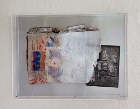 ZÁPISKY Z ČÍNY, ASAMBLÁŽ, 2011
